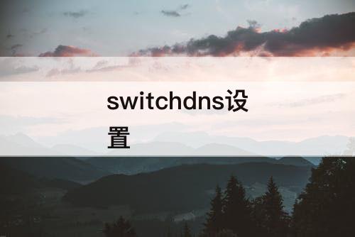 switchdns设置