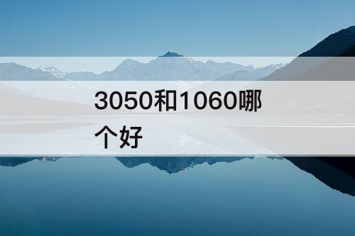 3050和1060哪个好