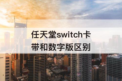 任天堂switch卡带和数字版区别