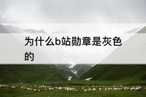 为什么b站勋章是灰色的