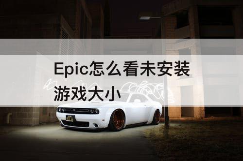 Epic怎么看未安装游戏大小