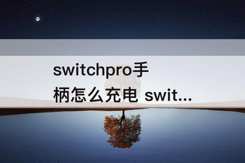 switchpro手柄怎么充电 switchpro手柄怎么充电充满
