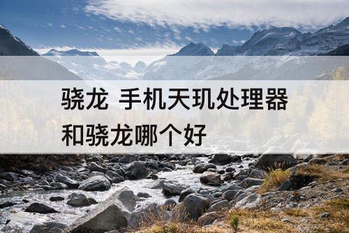 骁龙 手机天玑处理器和骁龙哪个好