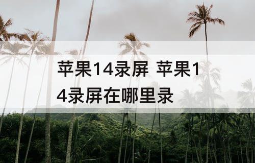 苹果14录屏 苹果14录屏在哪里录