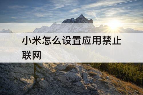小米怎么设置应用禁止联网