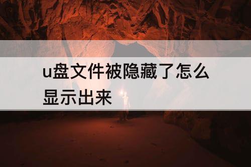 u盘文件被隐藏了怎么显示出来
