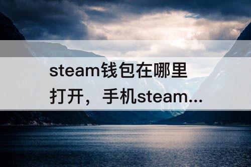 steam钱包在哪里打开，手机steam钱包在哪里打开
