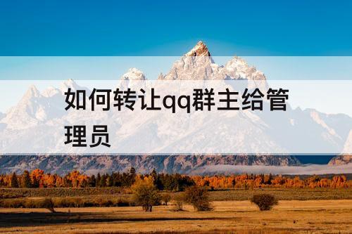 如何转让qq群主给管理员