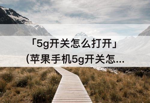 「5g开关怎么打开」(苹果手机5g开关怎么打开)