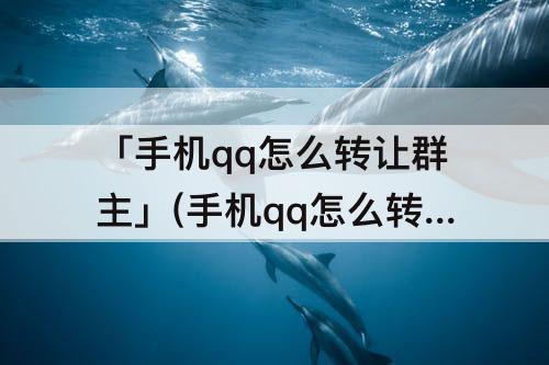 「手机qq怎么转让群主」(手机qq怎么转让群主给别人)