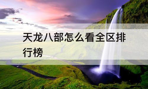 天龙八部怎么看全区排行榜