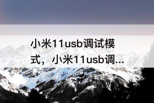 小米11usb调试模式，小米11usb调试模式怎么打开