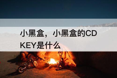 小黑盒，小黑盒的CDKEY是什么