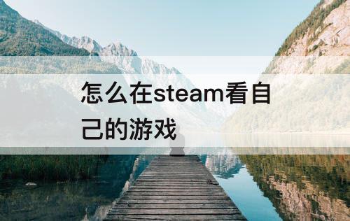 怎么在steam看自己的游戏
