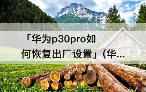「华为p30pro如何恢复出厂设置」(华为p30pro如何恢复出厂设置不清数据)