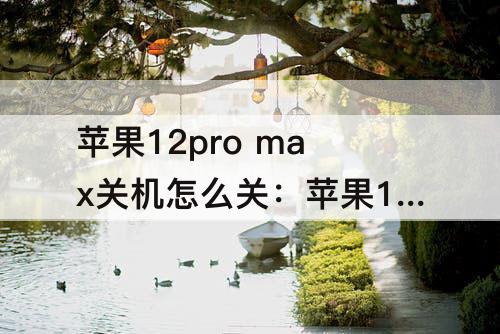 苹果12pro max关机怎么关：苹果12pro max关机怎么关开机怎么干