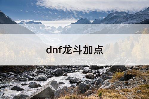 dnf龙斗加点