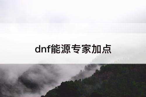 dnf能源专家加点