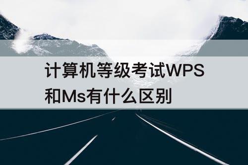 计算机等级考试WPS和Ms有什么区别