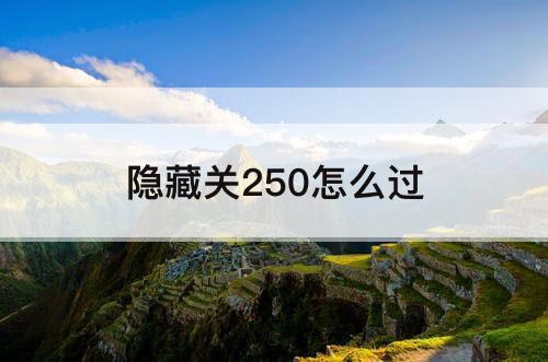 隐藏关250怎么过