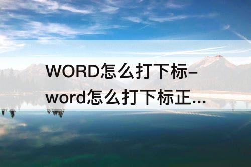 WORD怎么打下标-word怎么打下标正下方