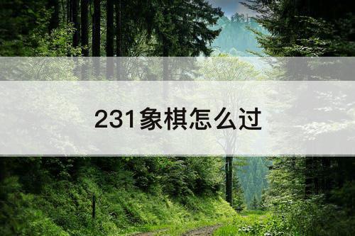 231象棋怎么过