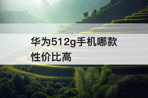 华为512g手机哪款性价比高