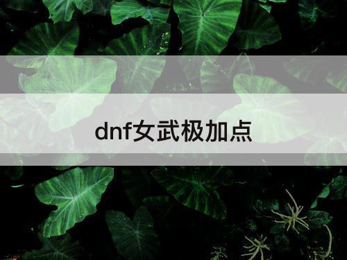dnf女武极加点