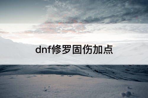 dnf修罗固伤加点