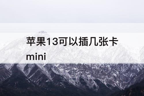 苹果13可以插几张卡mini
