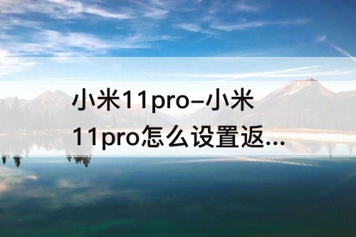 小米11pro-小米11pro怎么设置返回键动画