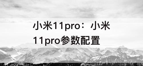 小米11pro：小米11pro参数配置