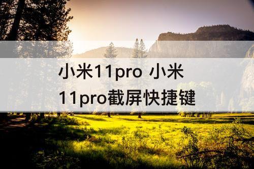 小米11pro 小米11pro截屏快捷键