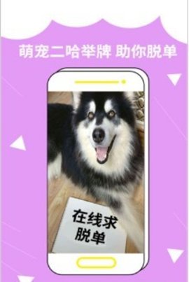 装啥  v1.0.0图1