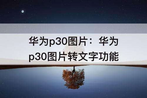 华为p30图片：华为p30图片转文字功能