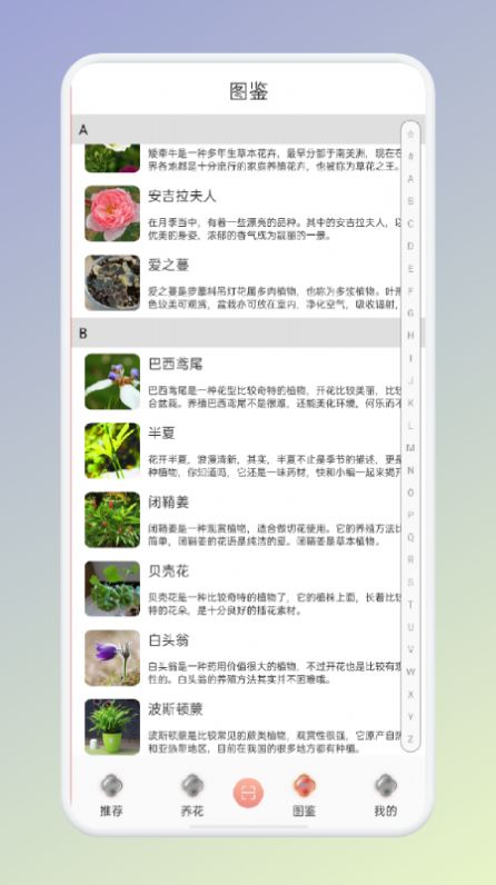 拍照识花识别植物  v1.1图1