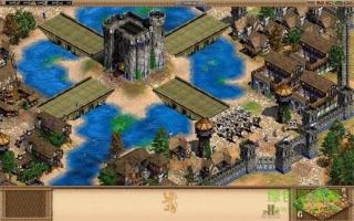 帝国时代3手机版下载  v1.12.7图2