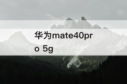 华为mate40pro 5g