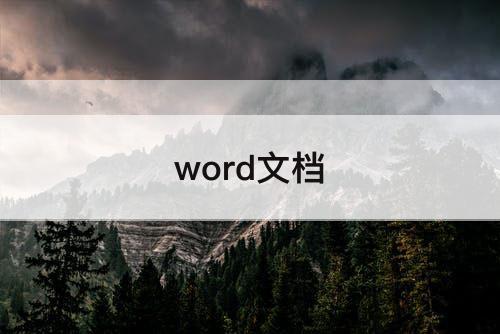word文档