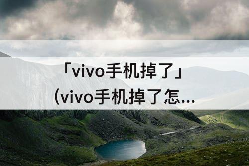 「vivo手机掉了」(vivo手机掉了怎么办)
