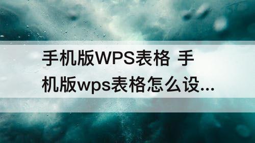 手机版WPS表格 手机版wps表格怎么设置公式