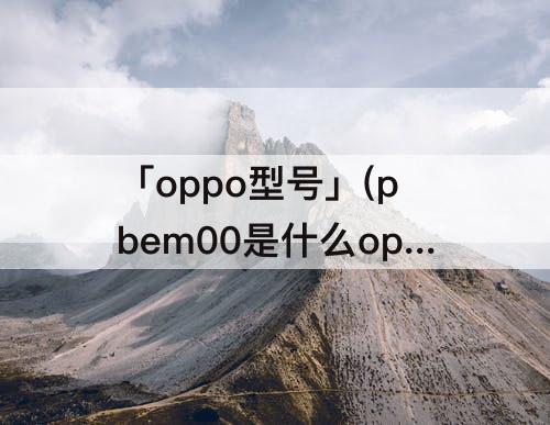 「oppo型号」(pbem00是什么oppo型号)