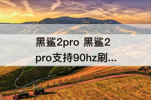 黑鲨2pro 黑鲨2pro支持90hz刷新率吗