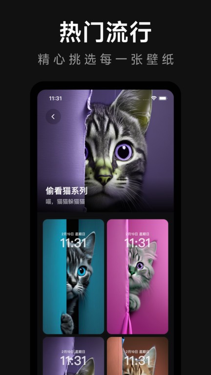 壁纸熊猫  v2.1.1图2