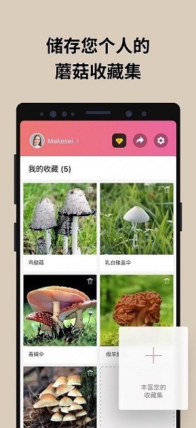 蘑菇识别扫一扫  v2.9.17图1