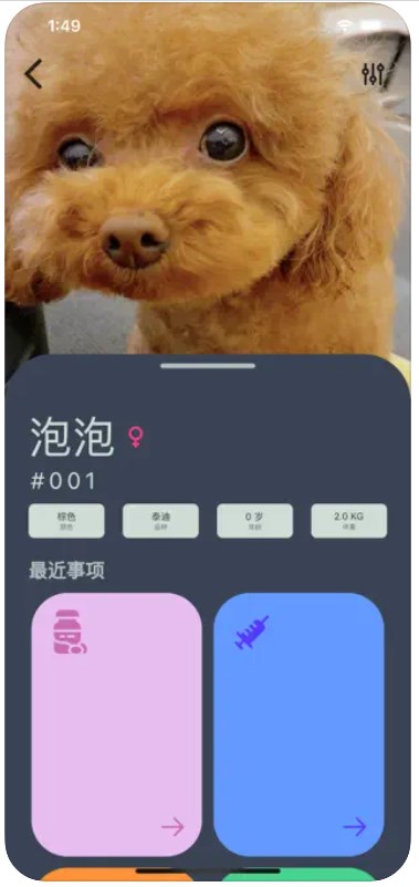 爱宠小派app  v1.1图2