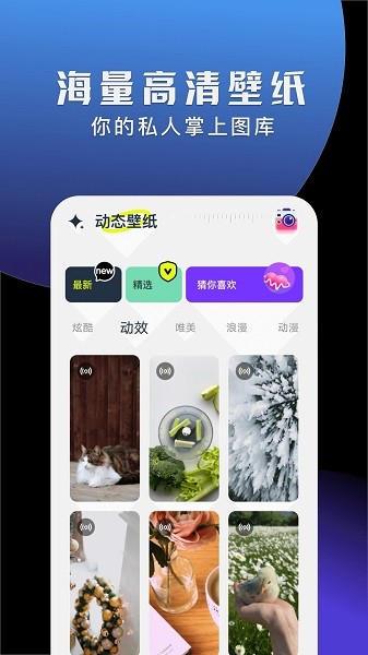 手机动态壁纸大全  v1.2图1