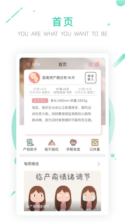 小贴心穿戴式胎儿心电监测仪  v1.1.39.8774图3