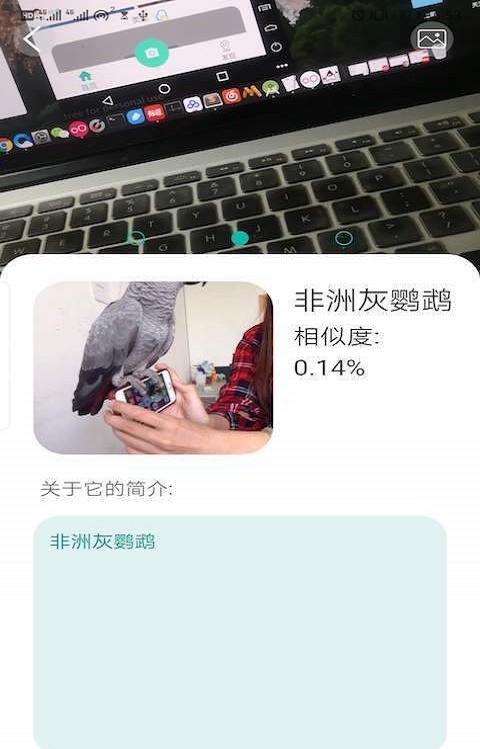 天天识别软件