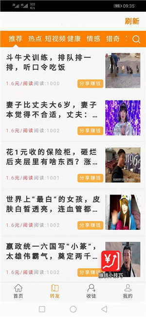 金竹网app